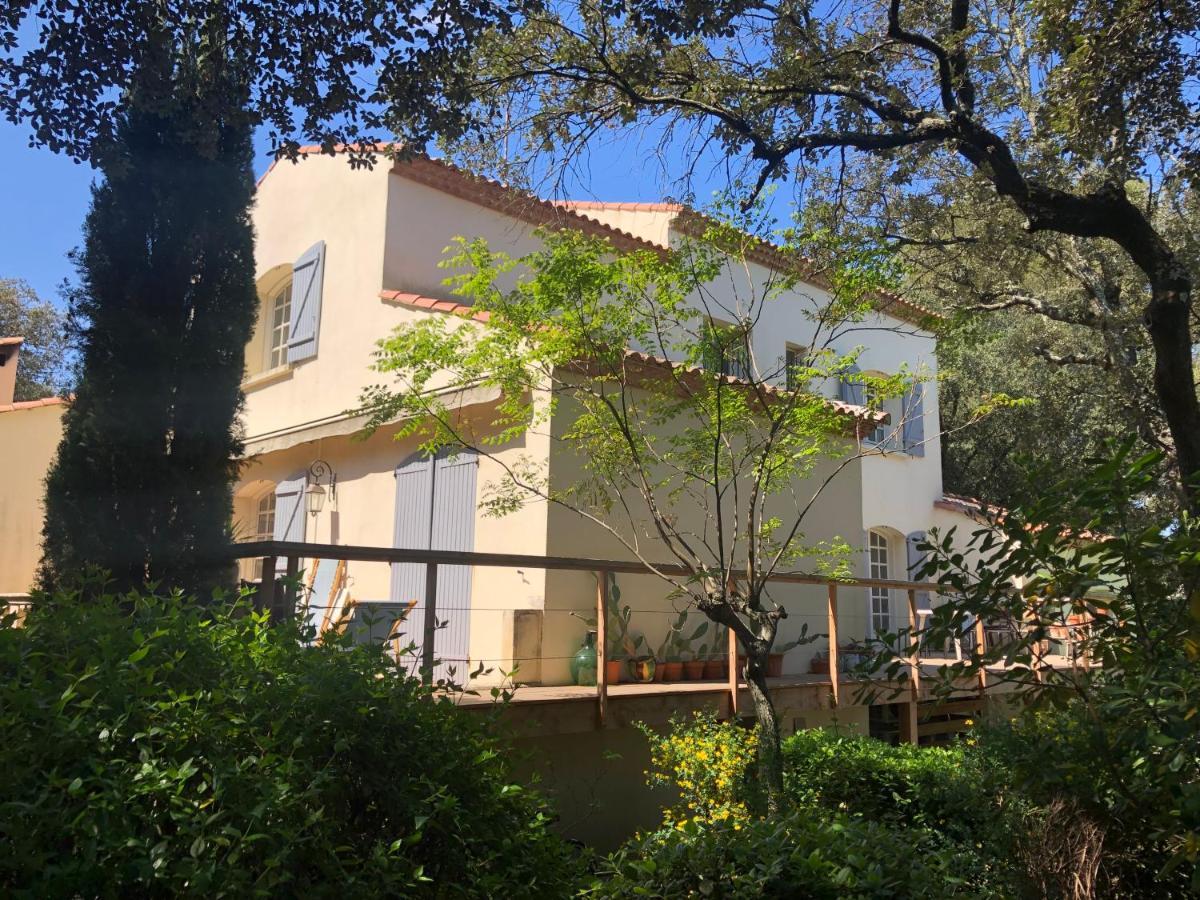 Magnifique Demeure Familiale Villa Castries Esterno foto